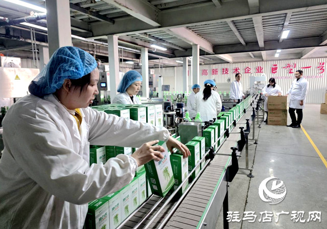 上蔡縣晨鐘農(nóng)業(yè)發(fā)展有限公司:全力備戰(zhàn)“雙十一” 沖刺年度銷售高峰