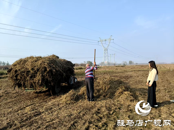 平輿縣李屯鎮(zhèn)：秸稈清運除隱患 全域巡防護藍(lán)天