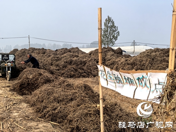 平輿縣廟灣鎮(zhèn):變“堵”為“疏”解難題 助推人居環(huán)境與秸稈禁燒雙提升