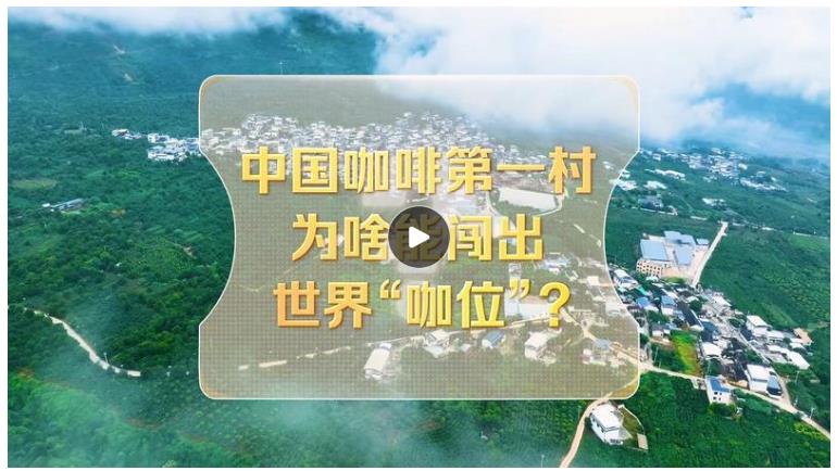 改革者 正青春｜中國咖啡第一村為啥能闖出世界“咖位”？