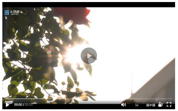 當代碼遇見善意 一個功能讓他們成為230城的“隱形守護者”?