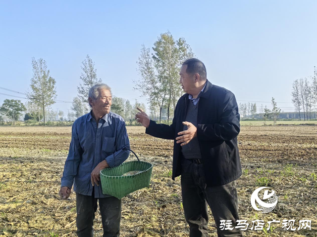 驛城區(qū):農(nóng)技服務(wù)沉一線 秋播麥田“底氣足”