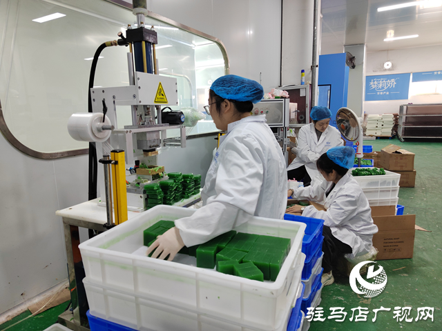 河南杞樂生物科技:奮戰(zhàn)四季度 全力沖刺全年銷售目標(biāo)