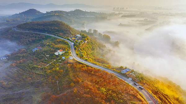 立冬將至 秋韻未央