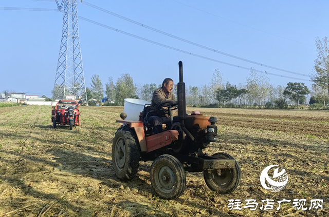 驛城區(qū):農(nóng)技服務(wù)沉一線 秋播麥田“底氣足”