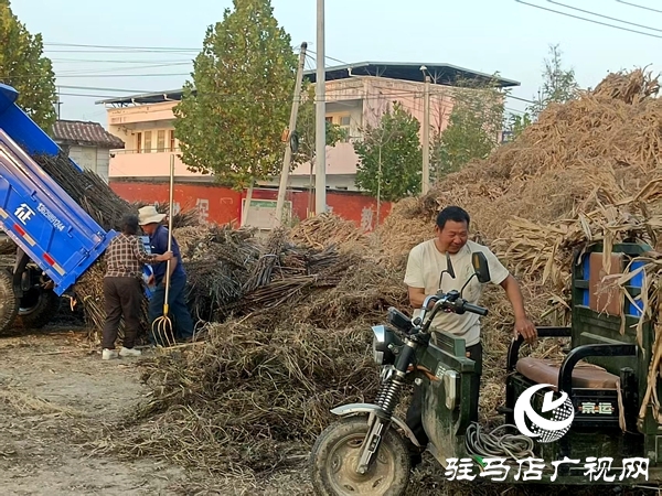 平輿縣民政局結(jié)對幫扶東和店鎮(zhèn)高莊村持續(xù)做好秸稈禁燒清運(yùn)工作