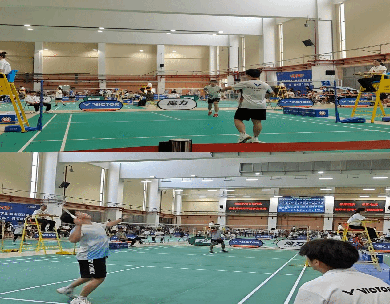  喜報(bào)！駐馬店職業(yè)技術(shù)學(xué)院在2025年河南省多項(xiàng)體育賽事中再創(chuàng)佳績