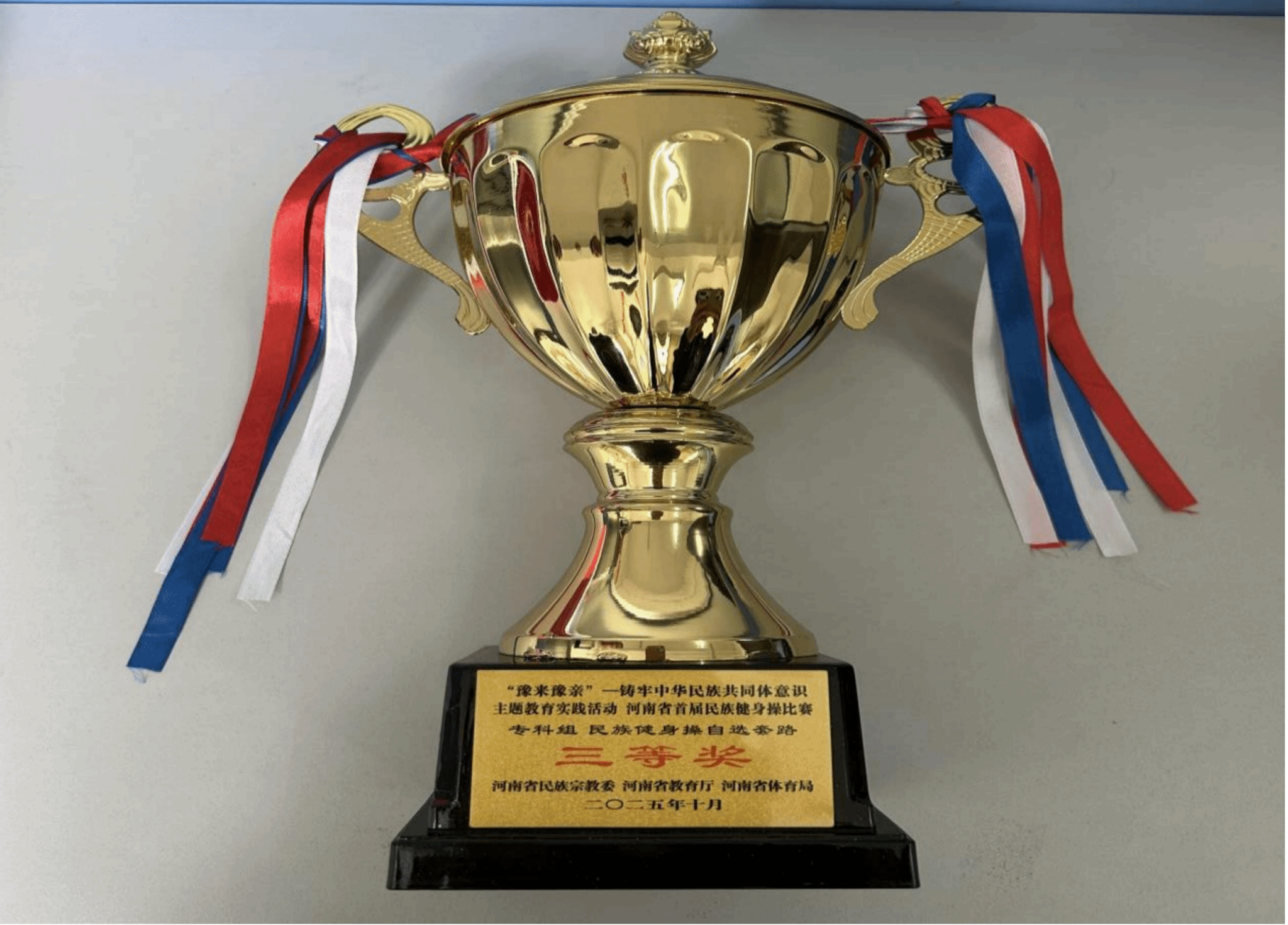  喜報(bào)！駐馬店職業(yè)技術(shù)學(xué)院在2025年河南省多項(xiàng)體育賽事中再創(chuàng)佳績