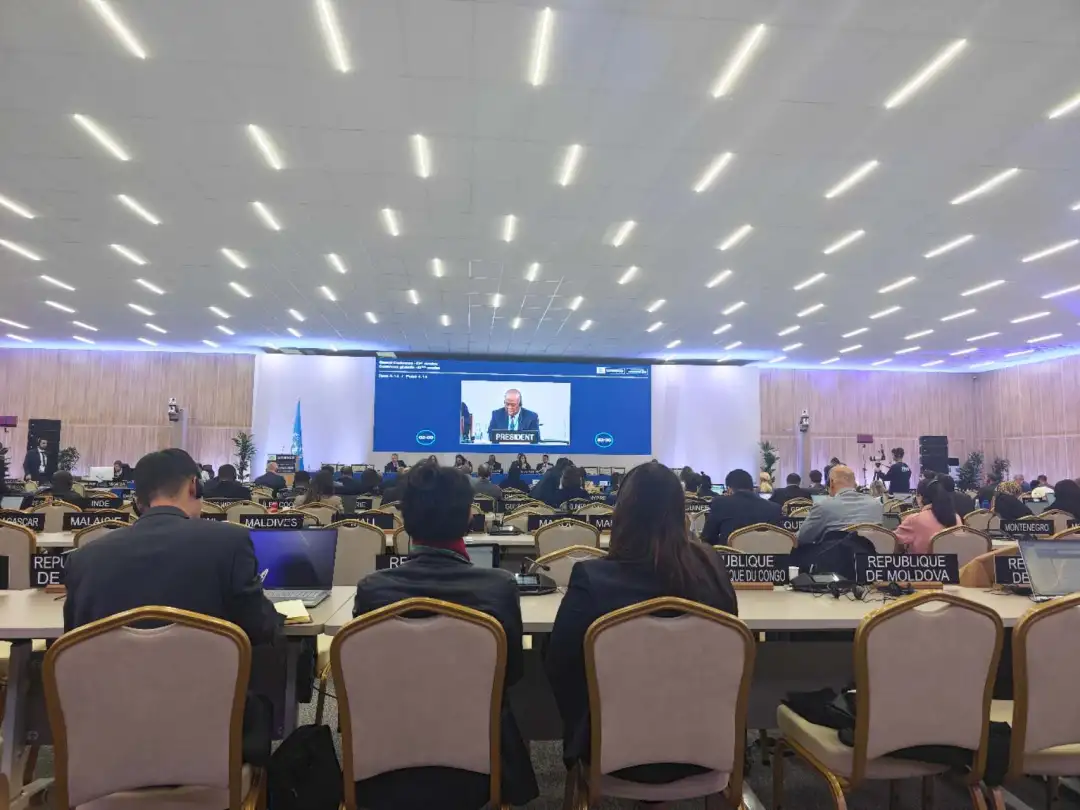 全球首個！每年3月21日，正式設立→