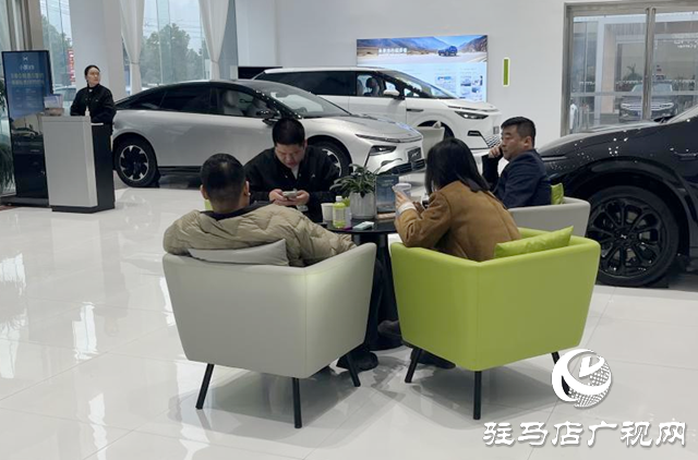 駐馬店:新能源汽車市場持續(xù)火熱 政策技術(shù)雙輪驅(qū)動消費增長