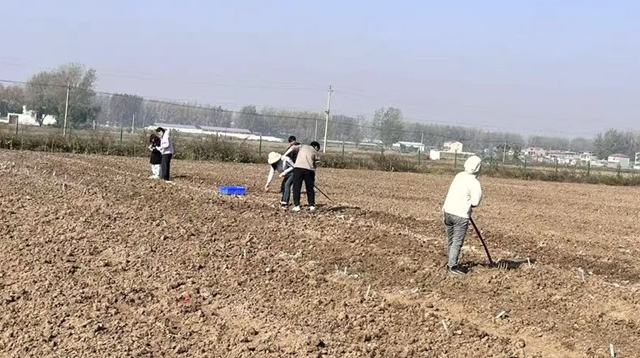 晚播小麥如何保豐收？平輿縣農(nóng)技專家開出四劑“良方”