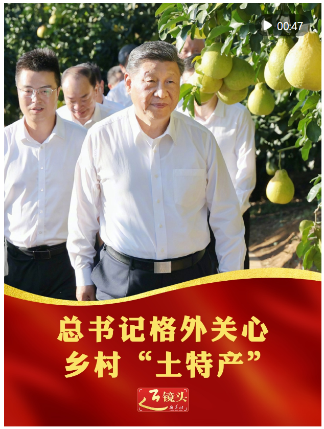 近鏡頭｜總書記格外關(guān)心鄉(xiāng)村“土特產(chǎn)”