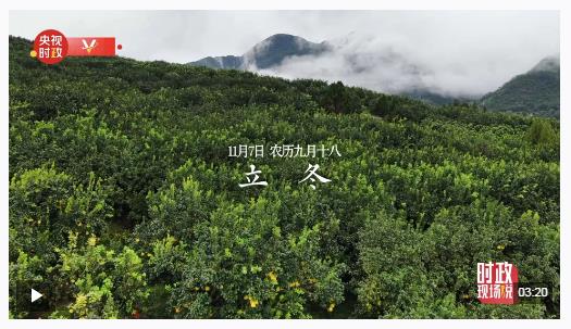 時(shí)政現(xiàn)場(chǎng)說(shuō)丨金柚滿枝頭 產(chǎn)業(yè)甜萬(wàn)家