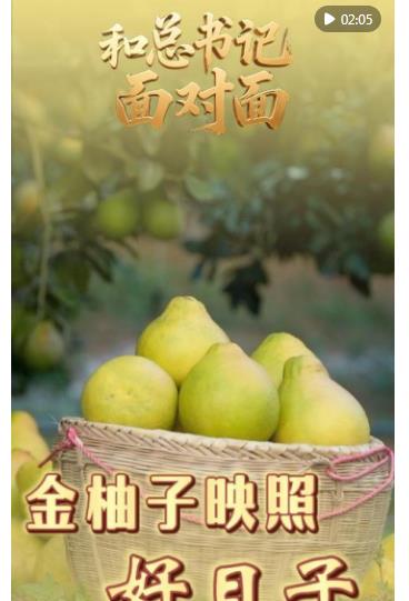 和總書(shū)記面對(duì)面｜金柚子映照好日子