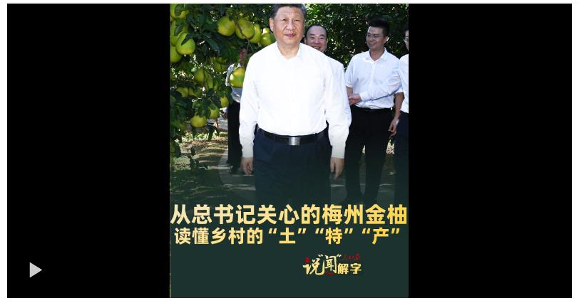 說“聞”解字·從總書記關(guān)心的梅州金柚，讀懂鄉(xiāng)村的“土”“特”“產(chǎn)”