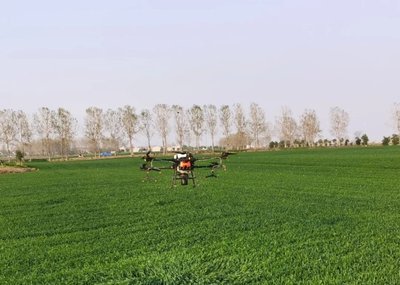 全國冬小麥播種已過六成 冬油菜播種過九成