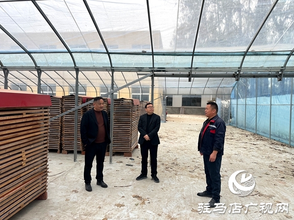 平輿縣射橋鎮(zhèn)：持續(xù)優(yōu)化營(yíng)商環(huán)境 服務(wù)企業(yè)做大做強(qiáng)