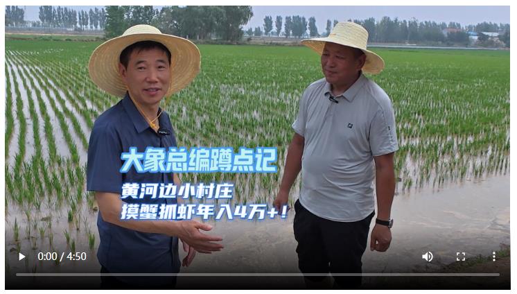 大象總編蹲點記│黃河邊小村莊 摸蟹抓蝦年入4萬+！