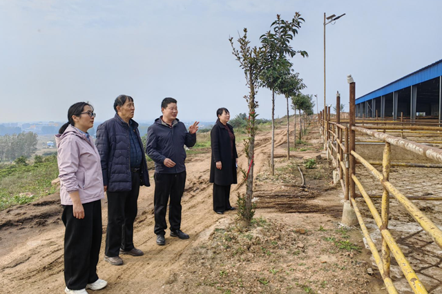 侯娜：多崗履職顯擔(dān)當(dāng) 科技服務(wù)促振興?