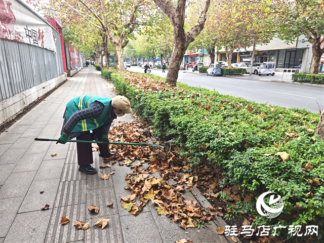  開發(fā)區(qū)城市管理事務中心：全力清掏落葉 筑牢冬季“安全防火墻”