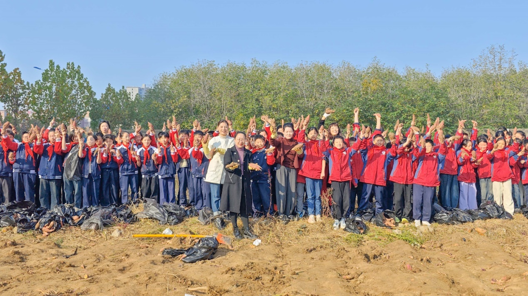  駐馬店實(shí)驗(yàn)小學(xué)：田間挖薯趣無(wú)窮 勞動(dòng)實(shí)踐樂(lè)融融