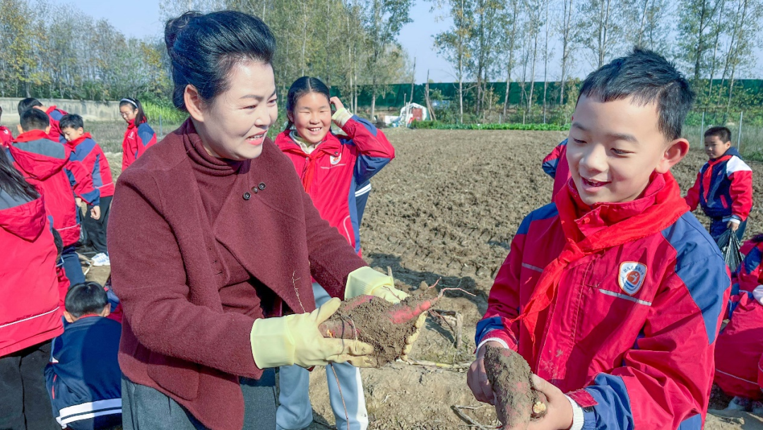  駐馬店實(shí)驗(yàn)小學(xué)：田間挖薯趣無(wú)窮 勞動(dòng)實(shí)踐樂(lè)融融