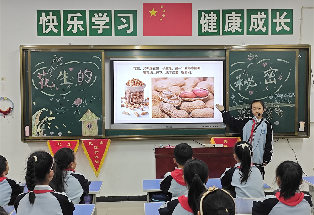  駐馬店第二實(shí)驗(yàn)小學(xué)開展“落花生?悟成長”秋日豐收實(shí)踐活動