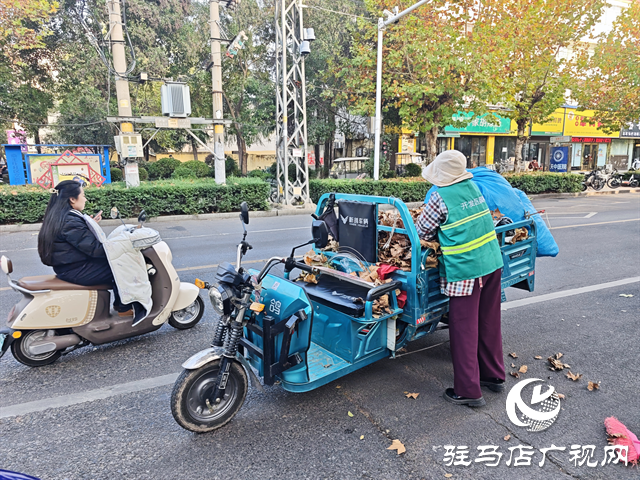  開發(fā)區(qū)城市管理事務中心：全力清掏落葉 筑牢冬季“安全防火墻”