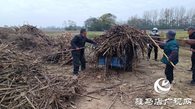 確山縣留莊鎮(zhèn)：秸稈“廢”變“寶” 走出生態(tài)增收雙贏路