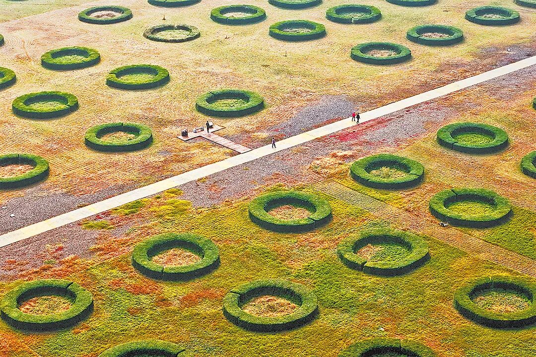 請(qǐng)打開“運(yùn)河秋韻”畫卷！