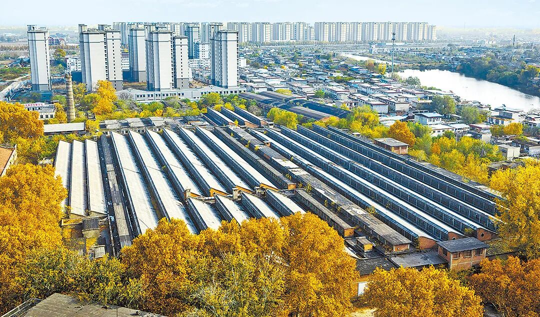 請(qǐng)打開“運(yùn)河秋韻”畫卷！