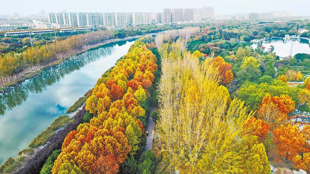 請(qǐng)打開“運(yùn)河秋韻”畫卷！