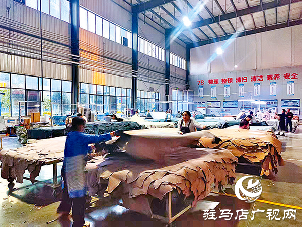 平輿答卷：“三園”模式解鎖強(qiáng)縣富民密碼