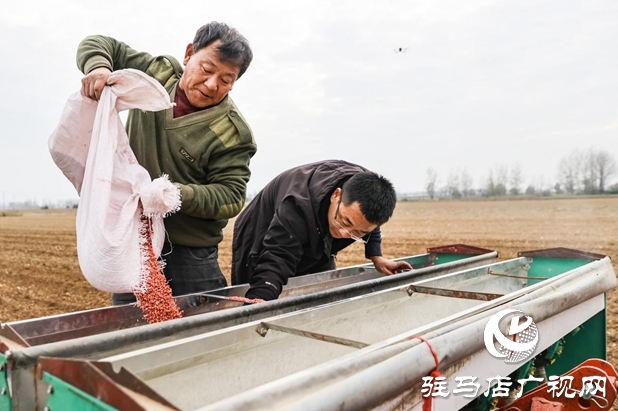 驛城區(qū):精準施策 力保晚播小麥不減產(chǎn)