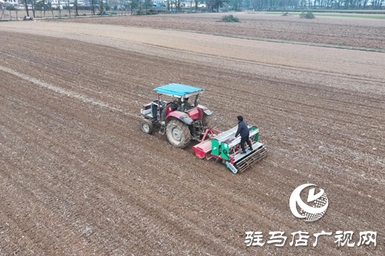 驛城區(qū):精準施策 力保晚播小麥不減產(chǎn)