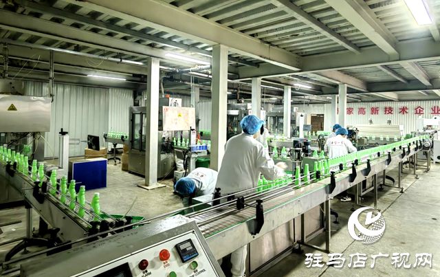 駐馬店市晨鐘生物科技：以現(xiàn)代化治理做強絲瓜產業(yè) 繪就鄉(xiāng)村振興“新樣本”