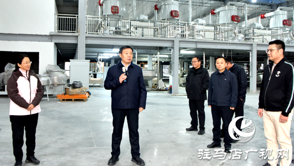 平輿縣委書記劉飛就重點(diǎn)項目推進(jìn)開展現(xiàn)場辦公