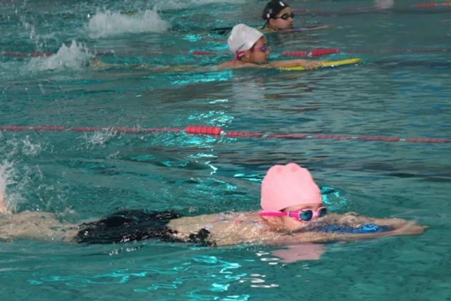 老中青幼同池競技 駐馬店社區(qū)游泳賽展全民健身活力