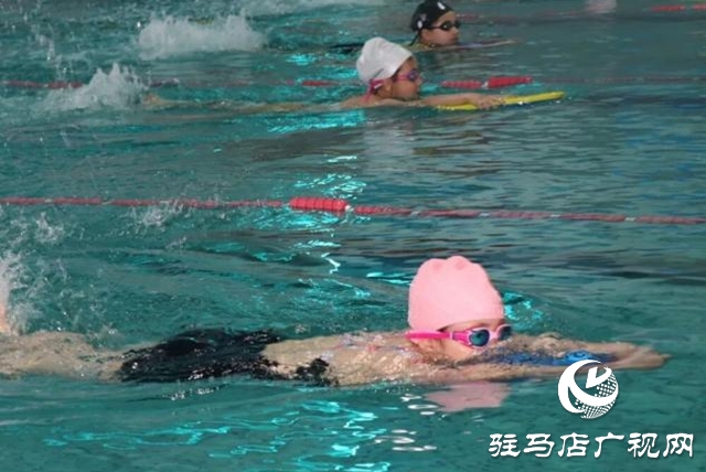 老中青幼同池競(jìng)技 駐馬店社區(qū)游泳賽展全民健身活力