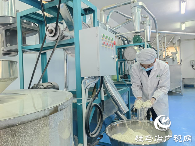 【天中“星”商】石磨轉出新“食”機 匠心鋪就振興路