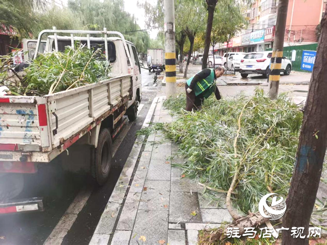  開發(fā)區(qū)城市管理事務(wù)中心以“動(dòng)”制凍 清斷枝除隱患保暢通