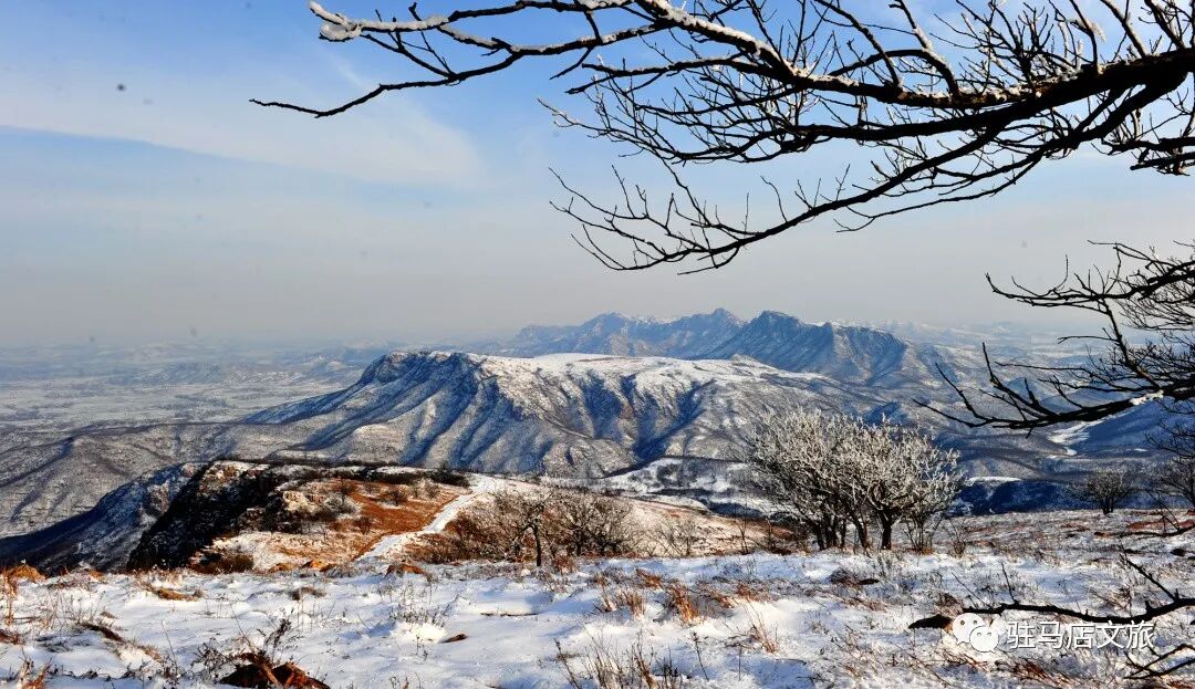 雪落天中！駐馬店初雪刷屏~這些絕美雪景，你都去看過嗎