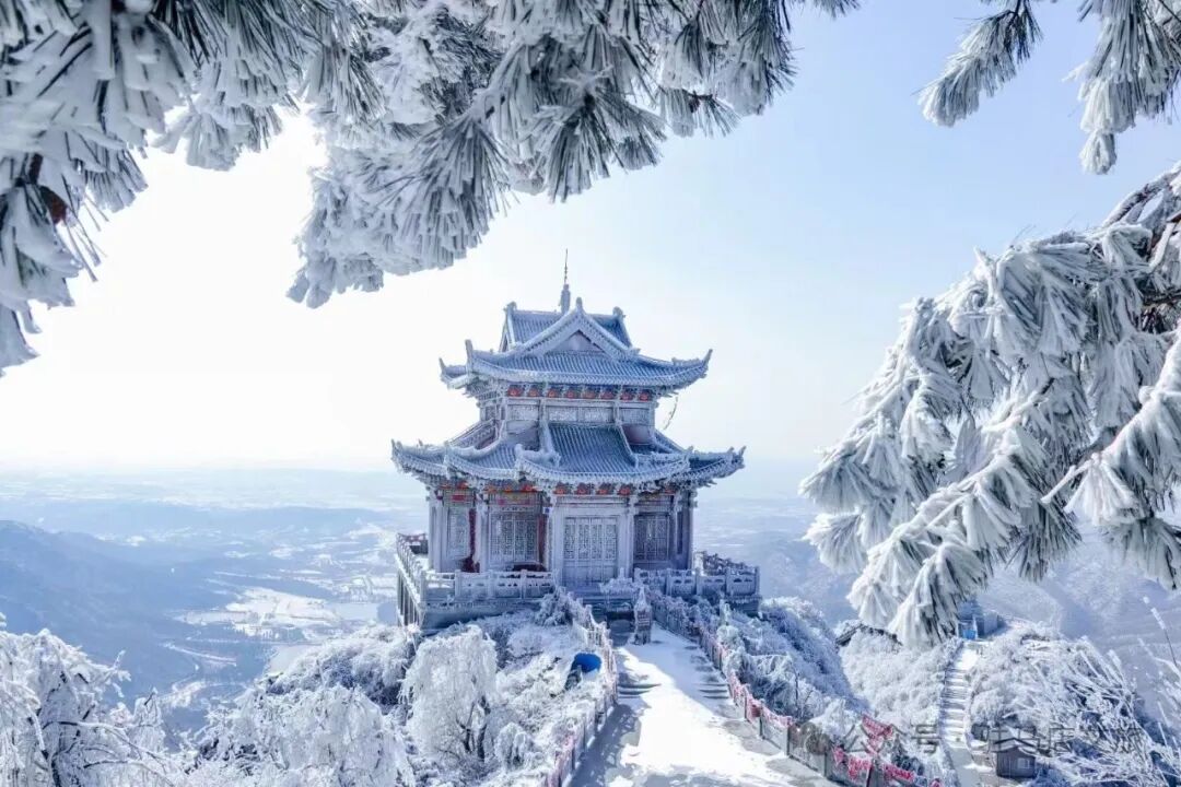 雪落天中！駐馬店初雪刷屏~這些絕美雪景，你都去看過嗎