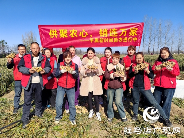 供聚農(nóng)心 銷連萬家 駐馬店新時尚火龍果超市聯(lián)合平輿新時尚超市愛心助農(nóng)解滯銷難題