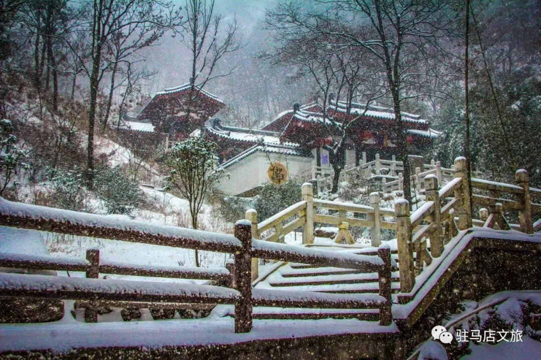 雪落天中！駐馬店初雪刷屏~這些絕美雪景，你都去看過嗎