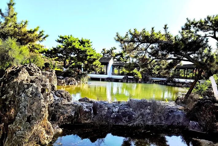 這個公園，初冬景致分外美