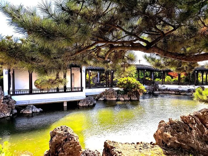 這個公園，初冬景致分外美