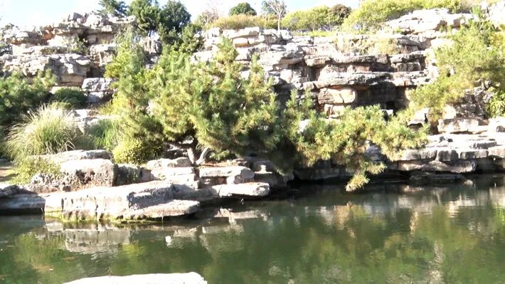 這個公園，初冬景致分外美