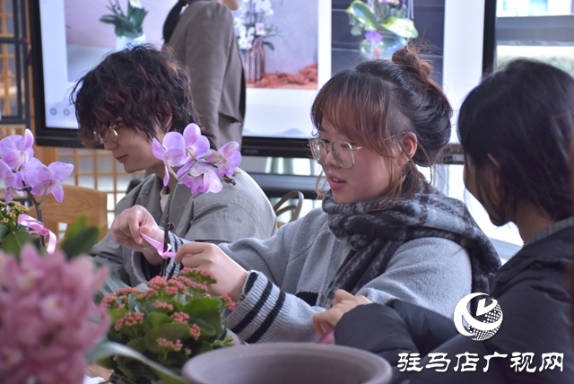 黃淮學(xué)院生物與食品工程學(xué)院開(kāi)展蝴蝶蘭組盆體驗(yàn)活動(dòng)