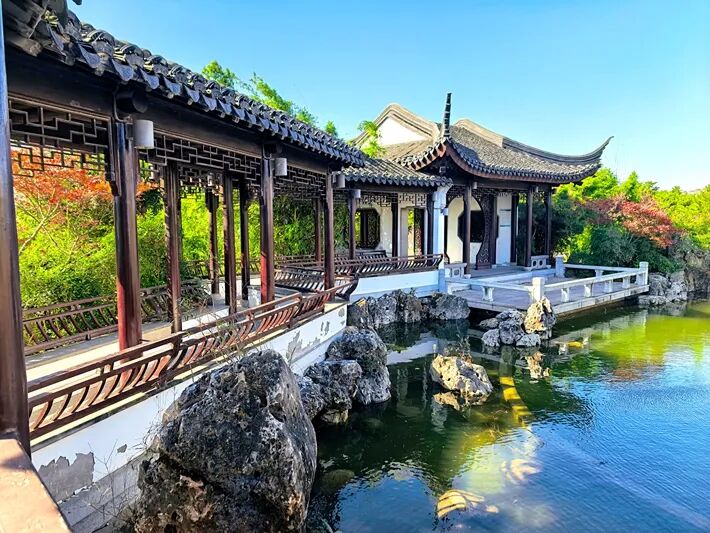 這個公園，初冬景致分外美